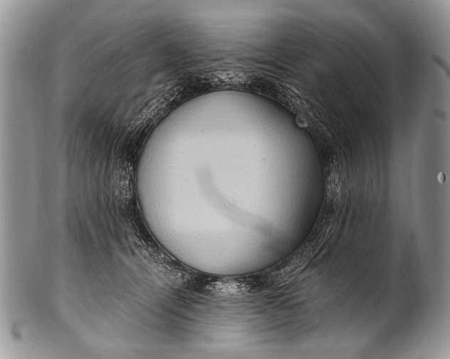 X0000100400464200806201740