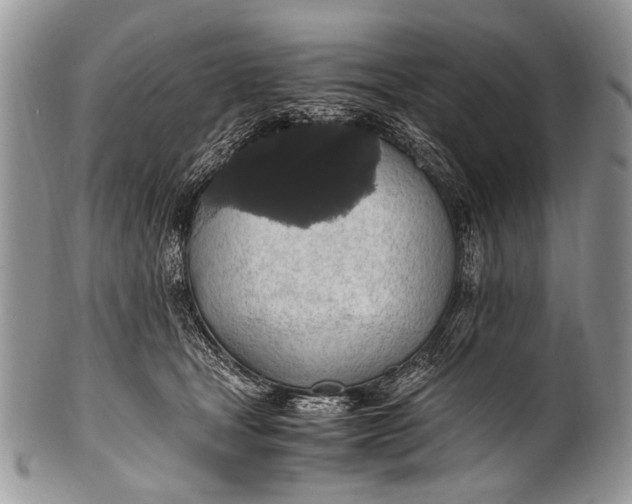 X0000100400465200806201740