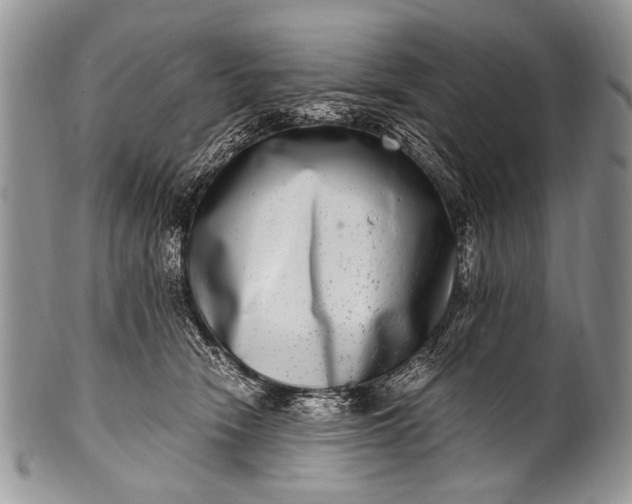 X0000100400466200806201740