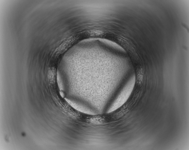X0000100400468200806201740
