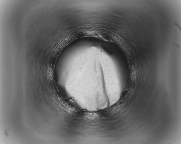 X0000100400469200806201740