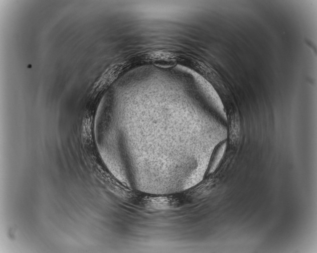 X0000100400473200806201740