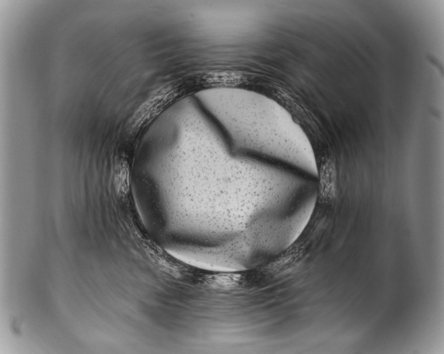 X0000100400474200806201740