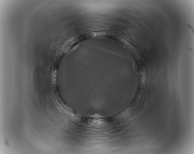 X0000100400475200806201740