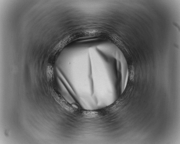 X0000100400476200806201740