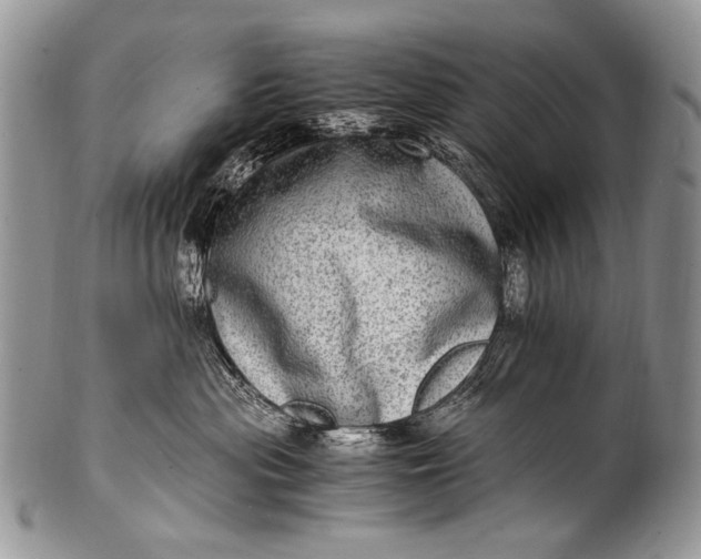 X0000100400477200806201740