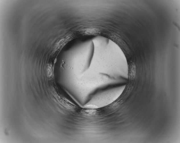 X0000100400478200806201740