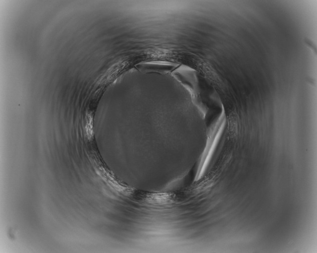 X0000100400479200806201740