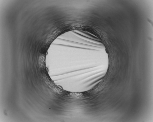 X0000100400480200806201740