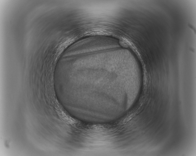 X0000100400481200806201739