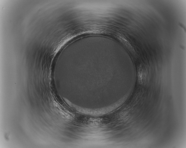 X0000100400484200806201739