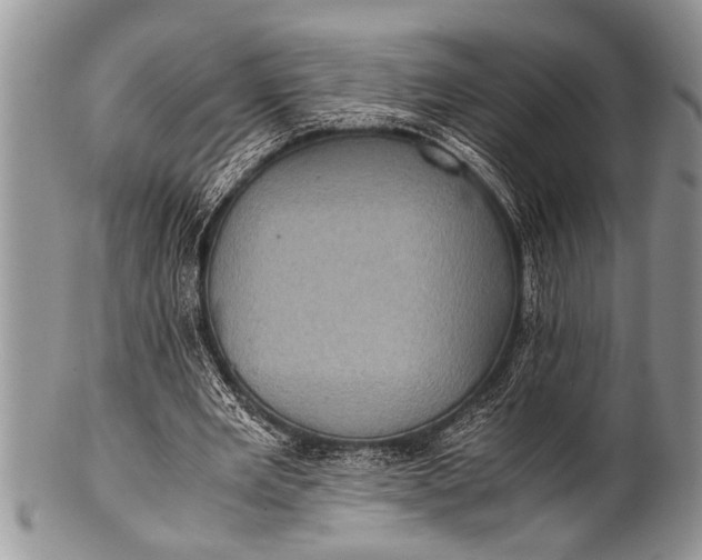 X0000100400485200806201739