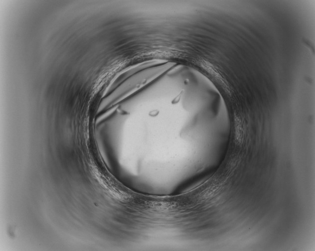 X0000100400486200806201739