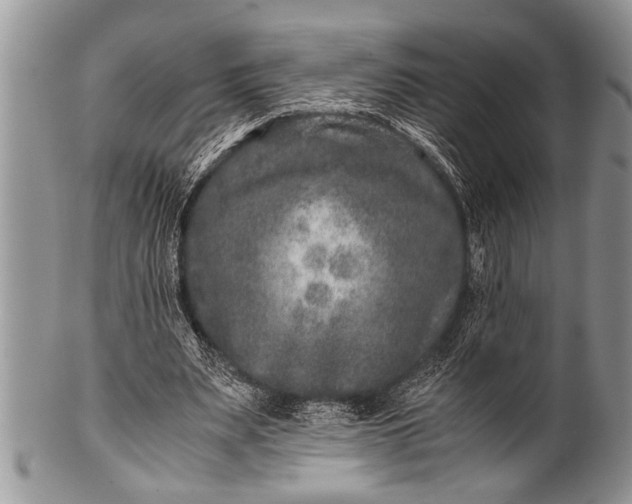 X0000100400487200806201739