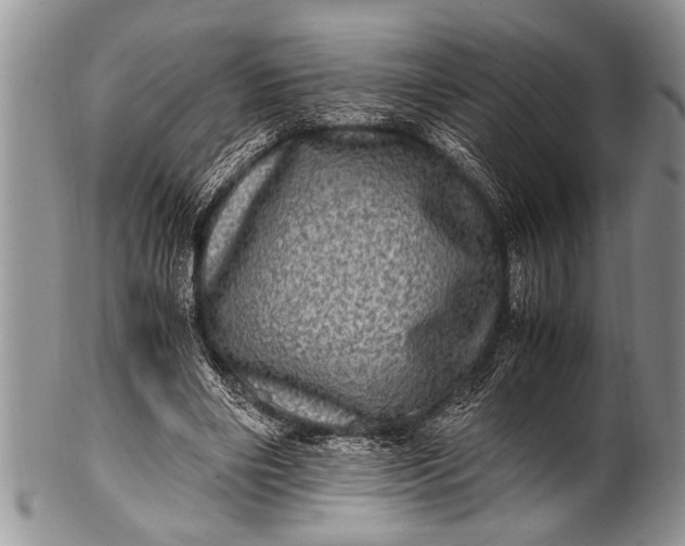 X0000100400490200806201739