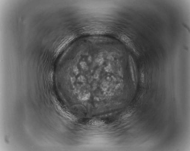 X0000100400491200806201739