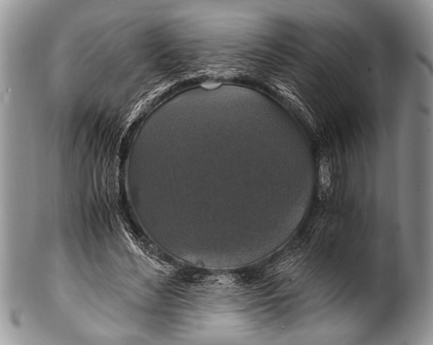 X0000100400492200806201739