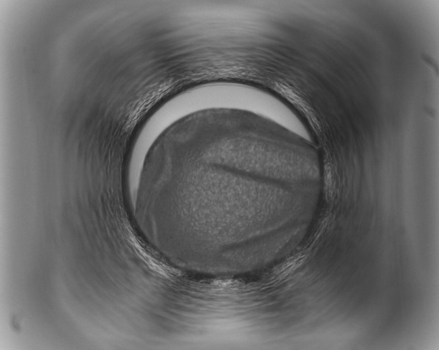 X0000100400493200806201739