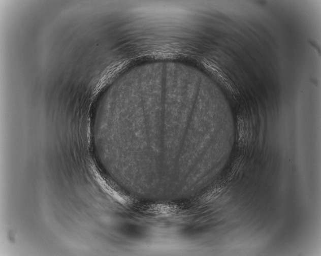 X0000100400494200806201739