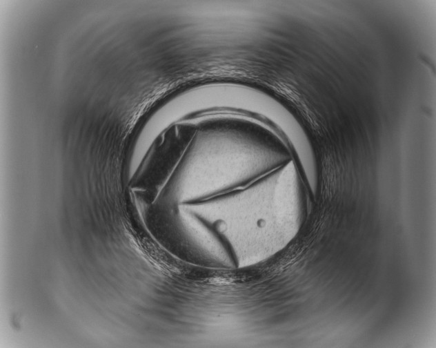 X0000100400496200806201739