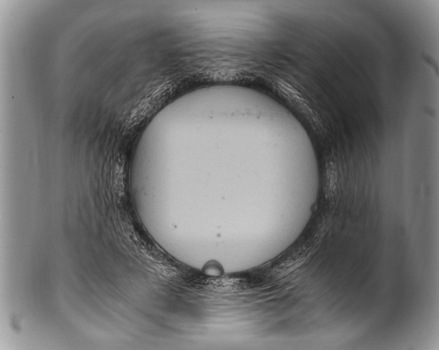 X0000100400497200806201739