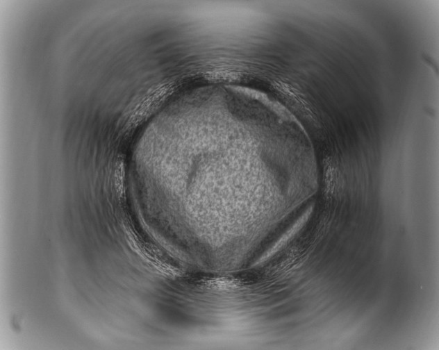 X0000100400498200806201739