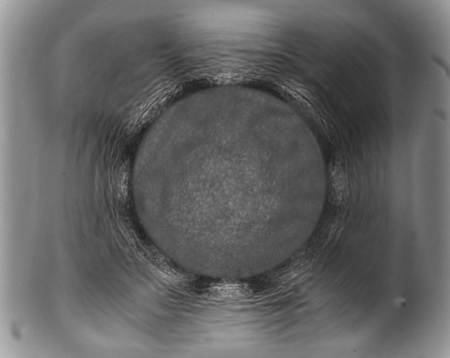 X0000100400499200806201739