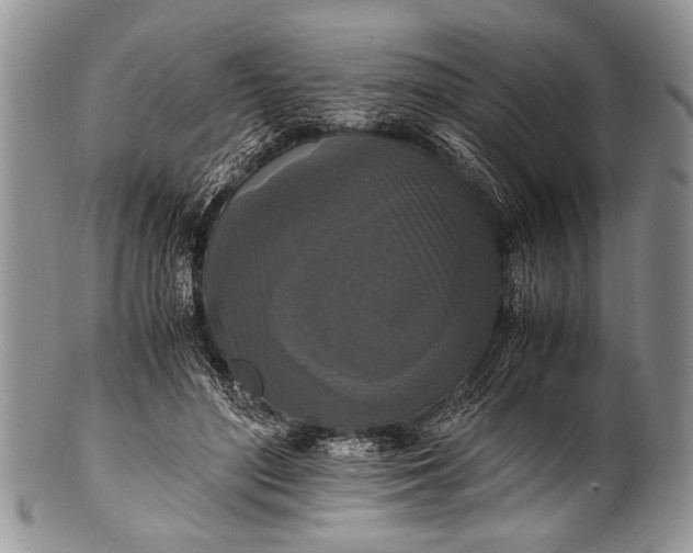 X0000100400500200806201739