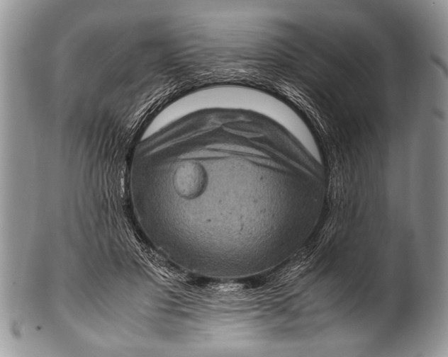 X0000100400501200806201739