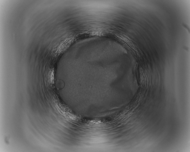 X0000100400502200806201739