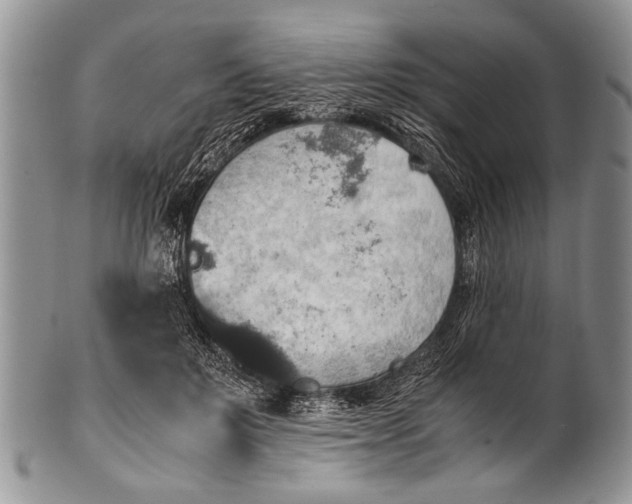 X0000100400503200806201739