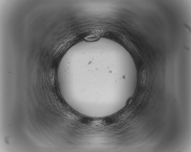 X0000100400505200806201739