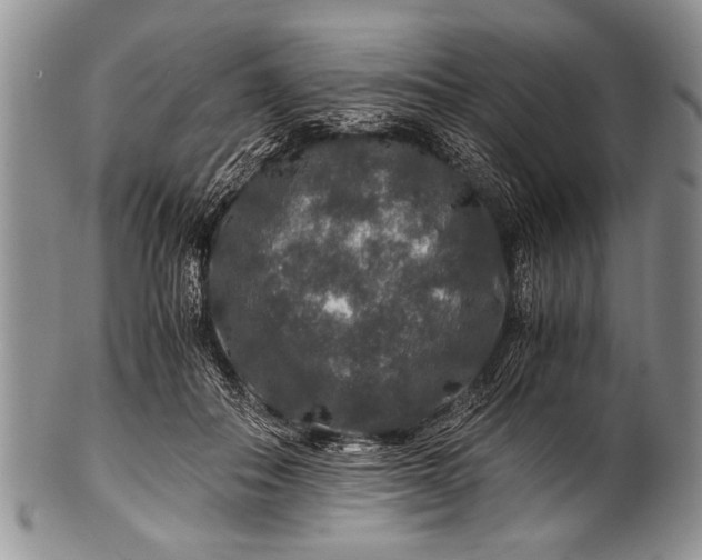 X0000100400506200806201739