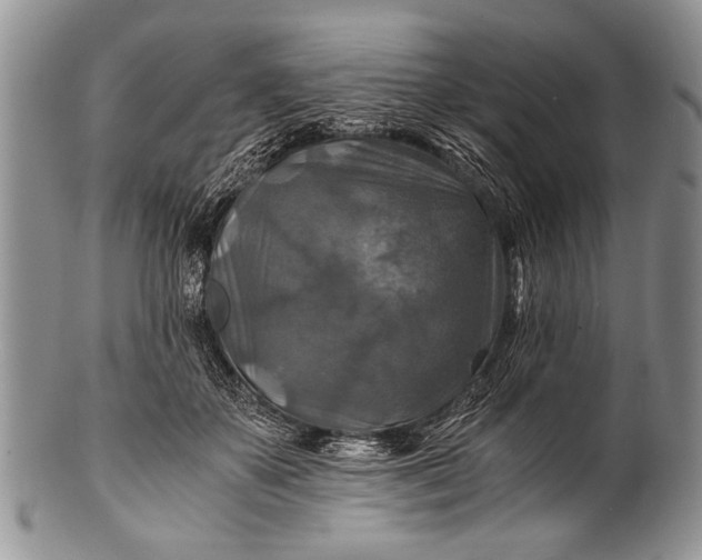 X0000100400507200806201739