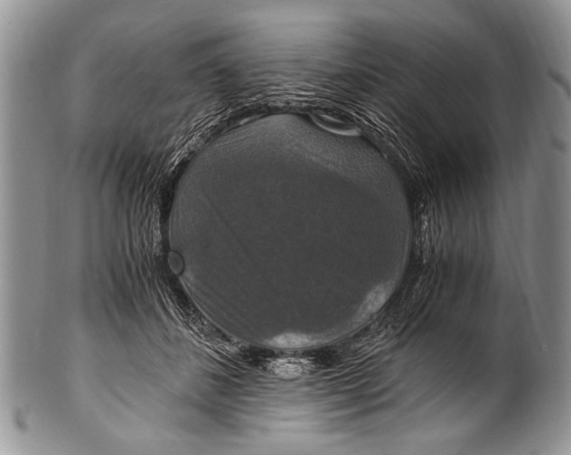 X0000100400508200806201739