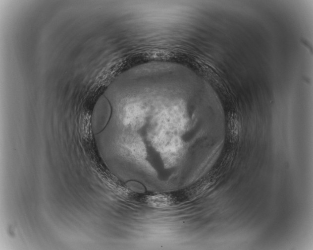 X0000100400511200806201739