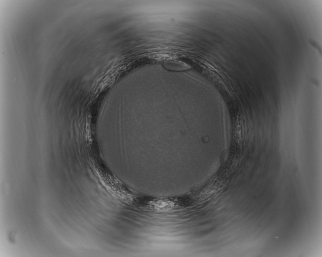 X0000100400512200806201739