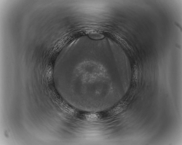 X0000100400513200806201739
