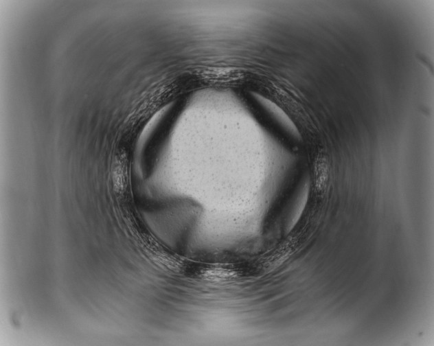 X0000100400515200806201739