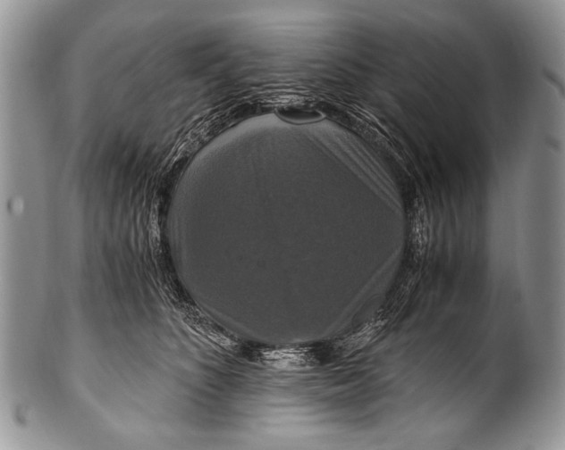 X0000100400516200806201739