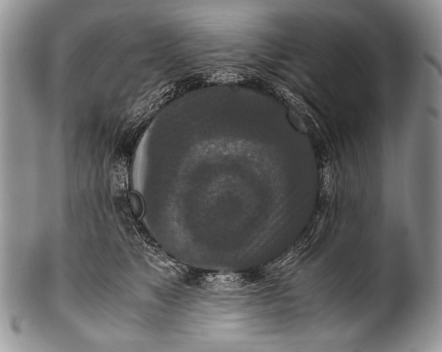X0000100400517200806201739