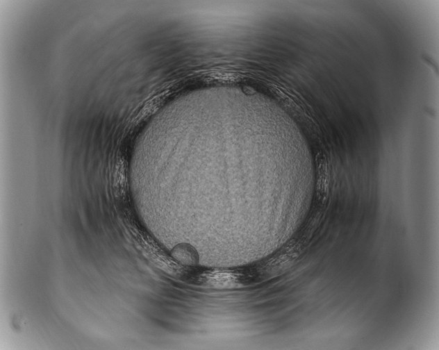 X0000100400518200806201739