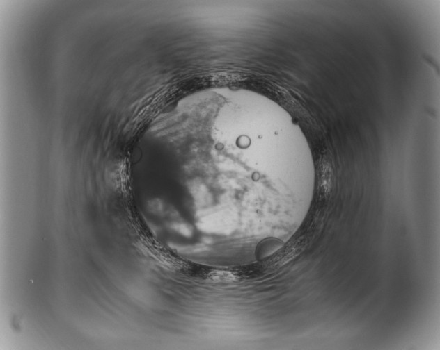 X0000100400519200806201739