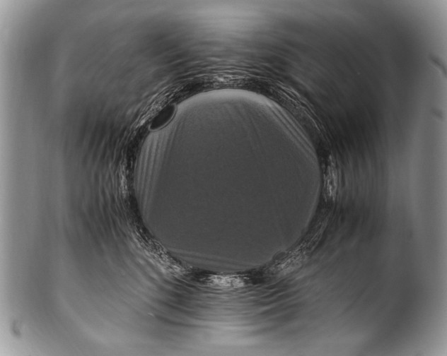 X0000100400520200806201739