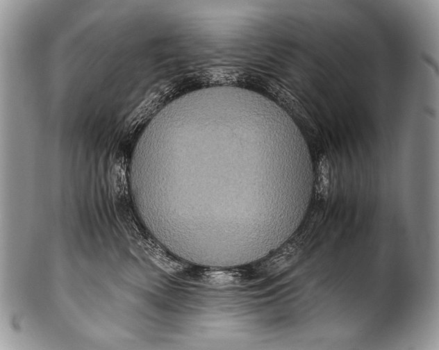 X0000100400522200806201739