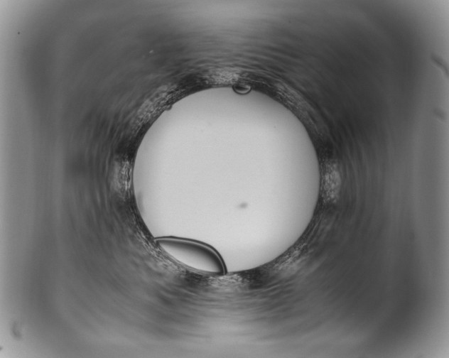 X0000100400525200806201739
