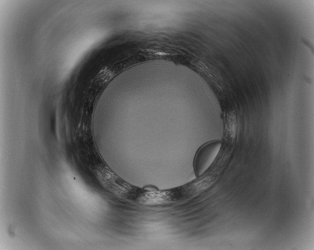 X0000100400526200806201739