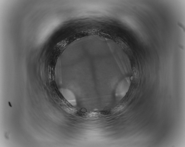 X0000100400527200806201739