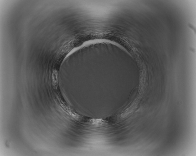 X0000100400528200806201739