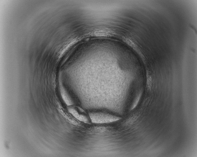 X0000100400530200806201738